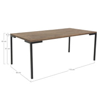 Lugano Coffee Table - Coffee table in smoked oiled oak 110x60 cm